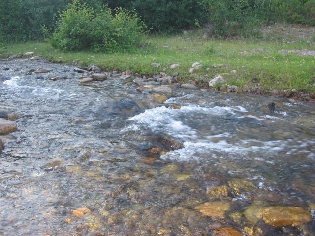 foto 031.jpg.jpg